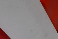 Стеля 1623418-00-f tesla model y 20- Київ, фото thumb