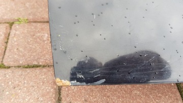 фото thumb №6, Двері передні перед ліві opel astra h