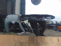 фото thumb №7, Двері праві зад peugeot 308 ii t9 універсал ktvd