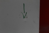 фото thumb №4, Двері задні праве крило білий renault kangoo 2 ii 13-21