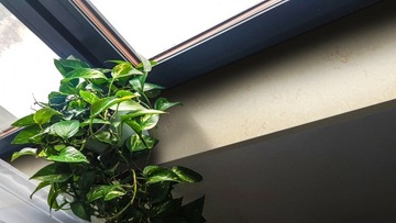 ОКНА СТОЛЕШНИЦЫ ДЛЯ ВАННОЙ КОМНАТЫ из конгломерата КОРОТКИЕ СВИДАНИЯ