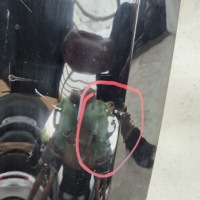 Honda jazz v 5 crosstar 20- крышка багажника задняя задняя Оригинал, фото thumb