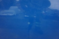 фото thumb №8, Підсилювач pas комплектний перед peugeot bipper