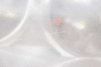 фото thumb №16, Фара правий лампа перед eu 92102-3e0 kia sorento 1 i 02-06