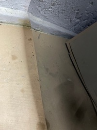 фото thumb №8, Бампер задняя bez pdc электропроводка m-pakiet kompletny bmw z4 g29 475