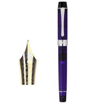 Penbbs 355 Демонстрационная перьевая ручка с акриловым поршнем из смолы