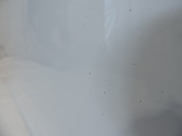 фото thumb №9, Ford focus iii mk3 двері правий перед комплектні