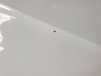 фото thumb №6, Audi a4 b8 8k 11r ly9c капот