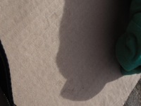 фото thumb №16, Стекло боковая правая задняя vw t4 multivan as2