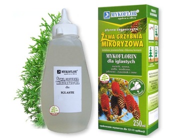 Микориза для мицелия хвойных деревьев