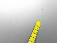 фото thumb №5, Tata safari i капот кришка передня