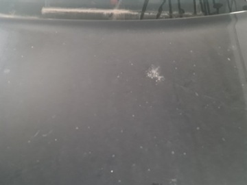 фото thumb №7, Капот кришка двигуна eu audi a8 d2 передній fl ly9b