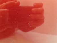 фото thumb №8, Dacia sandero ii stepway бампер перед teb76