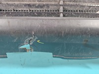 фото thumb №9, Бампер перед peugeot expert i 95-04