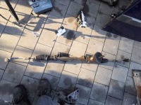 фото thumb №1, Рейка рульова трансмісія кермова megane ii