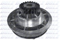 Купити Насос води r611 dolz, фото thumb