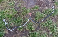 фото thumb №1, Шланг кондиціонера audi a6 c7 2012 4g0260710j