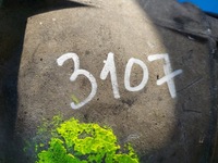 фото thumb №13, Коробка передач terrano ii 2.7 td 32131-g2342 дизель