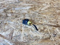 фото thumb №8, Датчик удара штекер vw audi porsche 4n0959651d