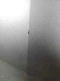 фото thumb №5, Renault megane iii 3 08/13 капот кришка кришка багажника перед шумоізоляція ted69