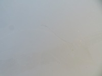 фото thumb №9, Капот кришка двигуна peugeot bipper код лакофарбового покриття 249