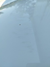 Капот лак 850/0 pepper white mini r56 r57 рестайлинг  2010-2013 1,6 бензин Доставка, фото thumb