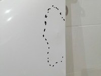 фото thumb №4, Крила лівий передній перед renault master iv