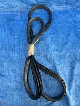 фото thumb №1, Прокладка двері лівий зад renault megane v e-tech