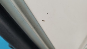 фото thumb №11, Toyota proace ii 20r дверь крыло зад правые