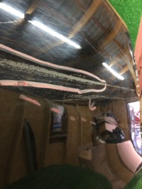 фото thumb №5, Дверь volvo v40 ii правое задняя задние 12-