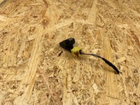 фото thumb №8, Датчик удара ударный штекер vw skoda seat audi 3q0959651