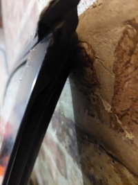 фото thumb №12, Двері перед ліві honda cr-v iii 06/12 код: nh684p