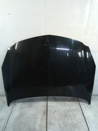 фото thumb №1, I223 капот opel insignia z22c