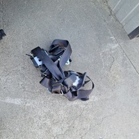 фото thumb №8, Панель консоль ремені kpl. superb ii