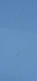 фото thumb №6, Капот кришка двигуна teqnc renault scenic iii