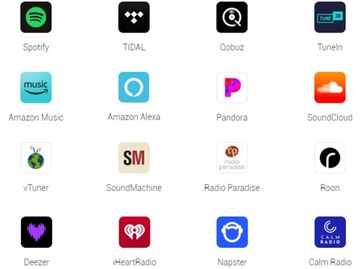 СЕТЕВОЙ ПЛЕЕР WIIM PRO PLUS AIRPLAY 2