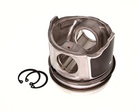фото thumb №1, Ne 130038002300 поршень