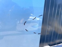 фото thumb №2, Дверь перед левая audi a6 c6