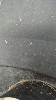 фото thumb №9, Mazda 6 ii gh sedan hb 07-10 бампер задня задній pdc