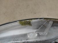 фото thumb №12, Citroen c4 ds4 11- лампа правая перед ксенон 9687895980