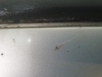 фото thumb №6, Бампер задній renault kangoo teb64