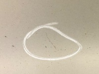 фото thumb №12, Дверь левый перед chevrolet captiva kombi