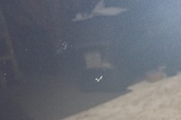 фото thumb №12, Капот крышка двигателя перед volvo v50