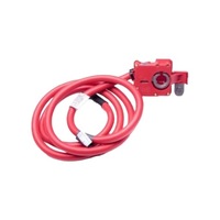 фото thumb №16, Клема do акумулятора bmw e60 bmw e60 esen skv skv96skv308