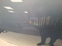 фото thumb №10, Капот volvo xc40 2018-