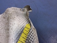 фото thumb №5, Mercedes e w211 3.0 cdi защита тепловая выхлоп