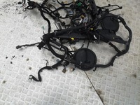 фото thumb №6, Ford mustang 5.0 gt 17 r электропроводка кабины середина