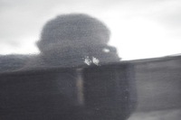 фото thumb №6, Mercedes a w176 дверь правый правое задняя задние 191