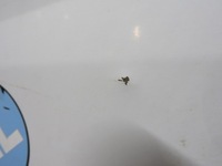 фото thumb №7, Mercedes sprinter ii 06-12 w906 крыло левый перед