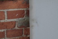 фото thumb №8, Потолок opel astra v k универсал